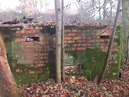 General view from the south.