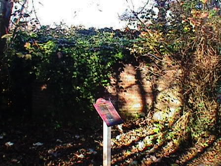 General view of overgrown type 28 with town trail sign in foreground.
