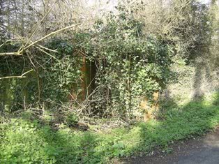 Overview.