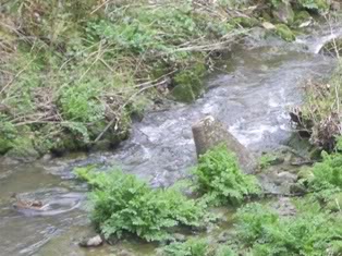 Obstacle in the river.