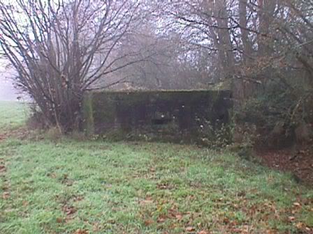 View from the west