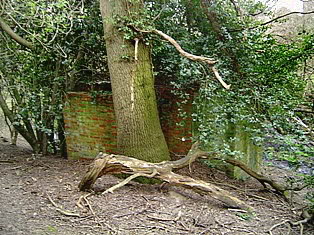 the back of the pillbox seen from atop the bank.