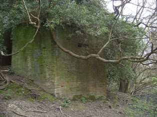 side view.