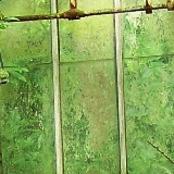 Heated glasshouse