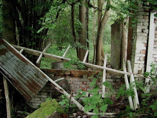 Collapsed greenhouses at Honeywood House, Surrey, once the country retreat  of noted eccentric Lady Katharine Carnegie, Viscountess Tredegar. The house is now a nursing home.
