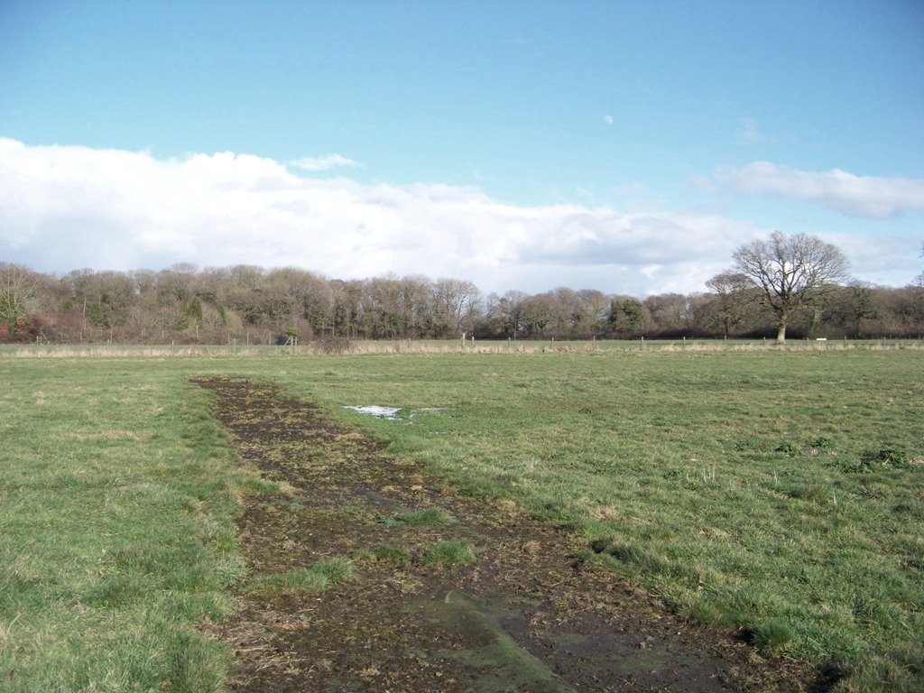 This soggy piece of astroturf is all that's left of the hospital cricket pitch