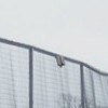 : Only the security fence remains at Brockley House Secure Unit