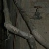 Cellars