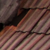 View from the top of the nurses' home (2014)