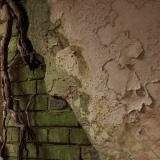 Kitchen corridor (2014)