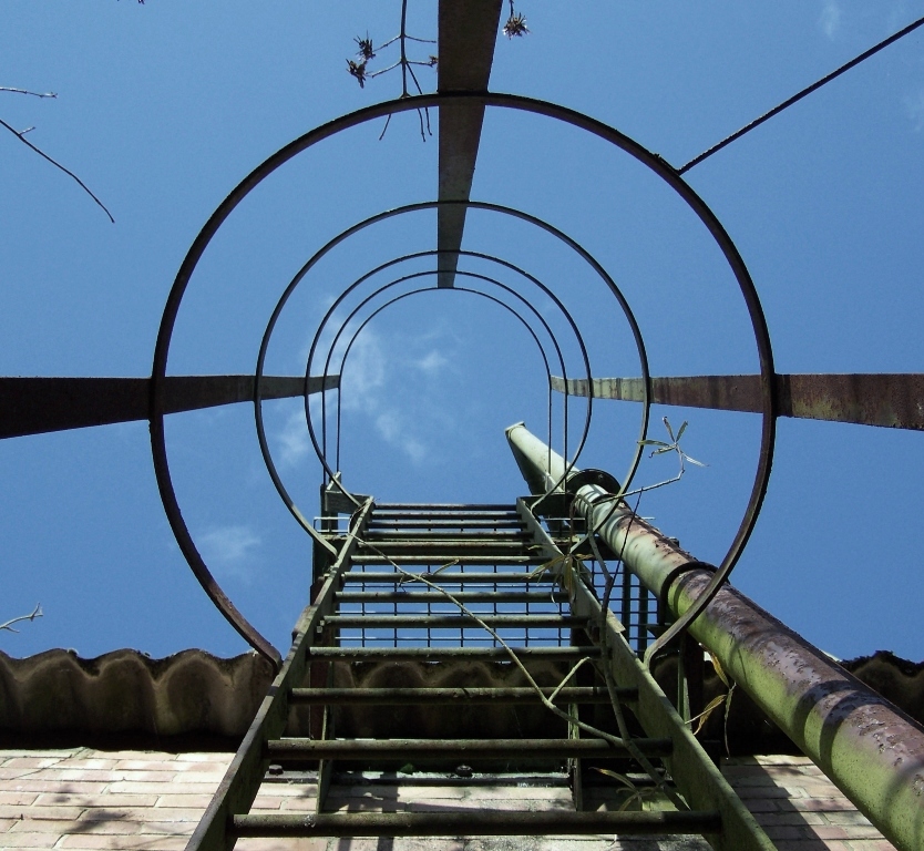 Ladder up, 2009