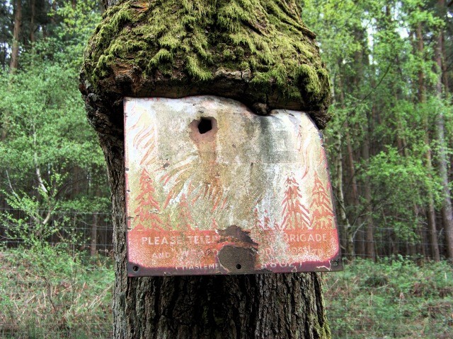 Enamel fire warning sign in nearby woods (2014)