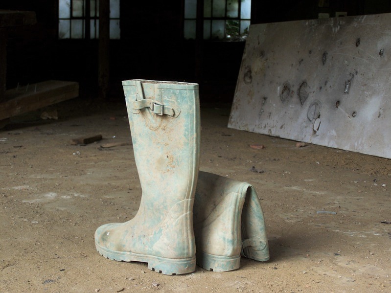 Wellington boots