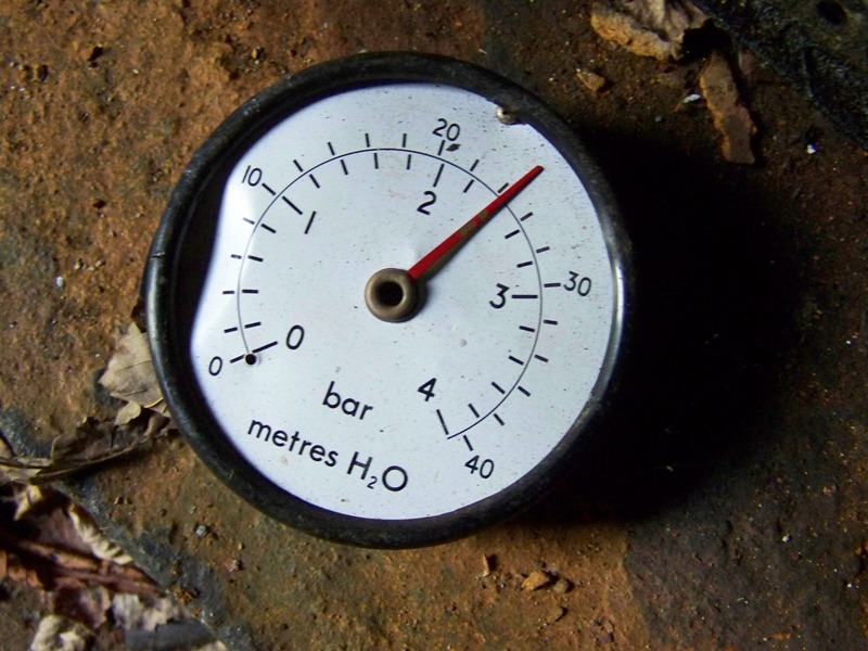 Dial