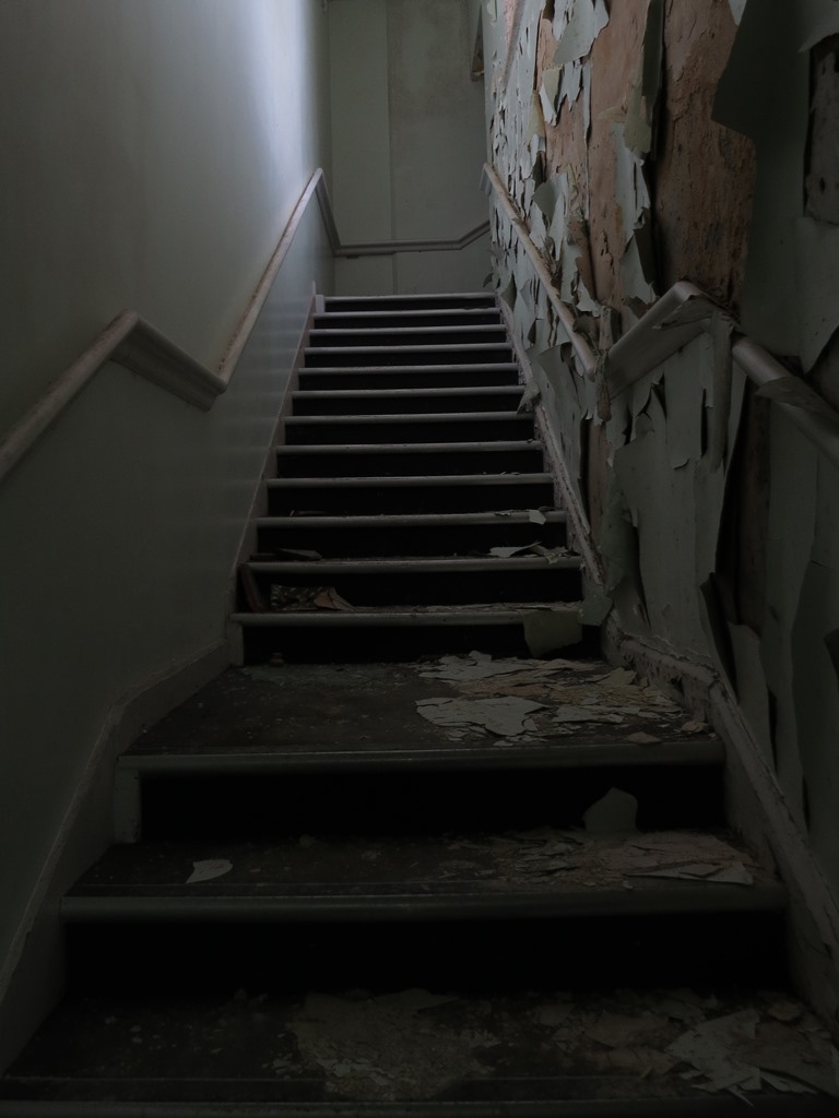 Martlet Lodge -
former isolation hospital.